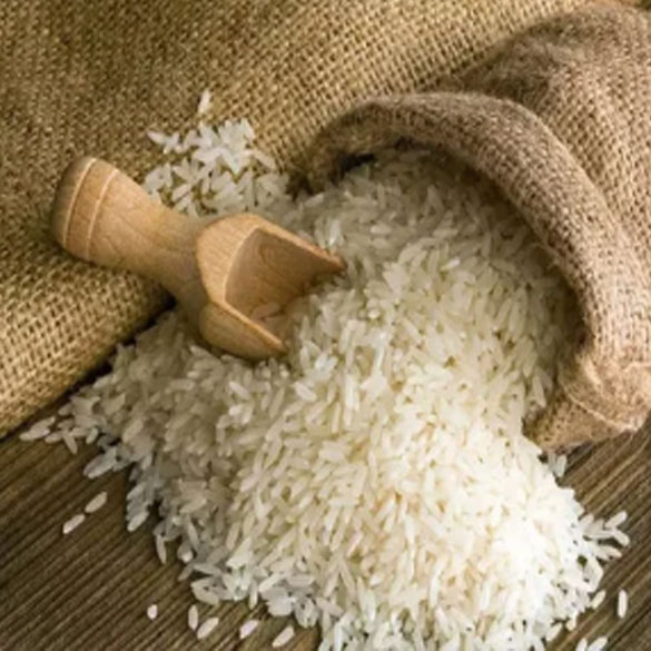 Rice